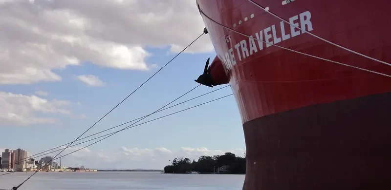 E TRAVELLER Bulk Carrier IMO 9567427 photo 10