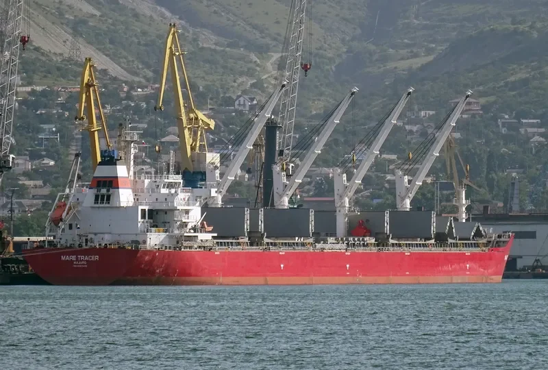 E TRACER Bulk Carrier IMO 9567439