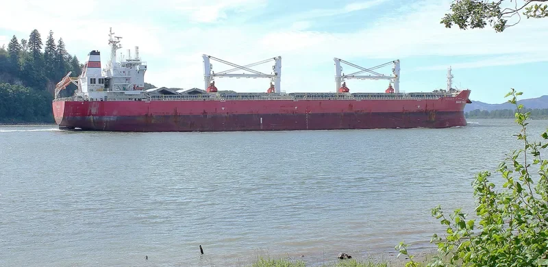 E TRACER Bulk Carrier IMO 9567439 photo 3
