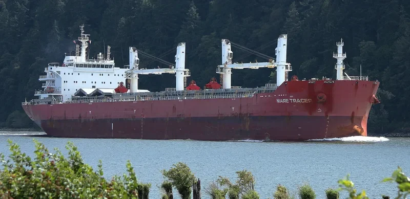 E TRACER Bulk Carrier IMO 9567439 photo 4