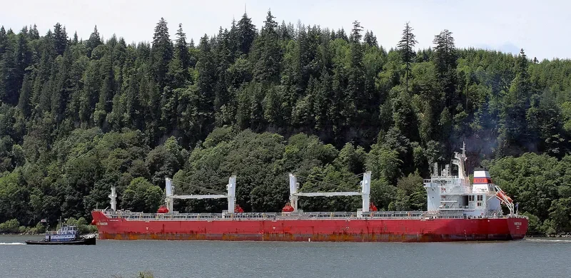 E TRACER Bulk Carrier IMO 9567439 photo 6