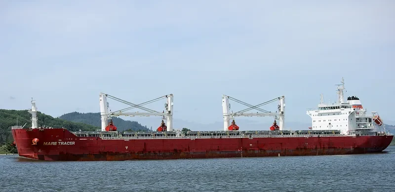 E TRACER Bulk Carrier IMO 9567439 photo 7