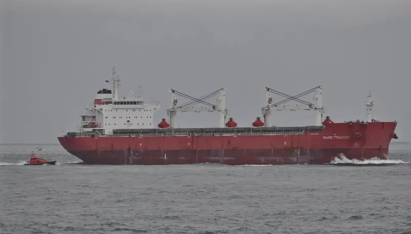E TRACER Bulk Carrier IMO 9567439 photo 9