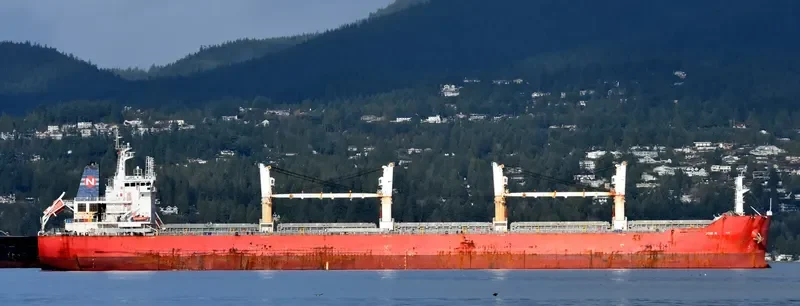 JU XI Bulk Carrier IMO 9567441 photo 4