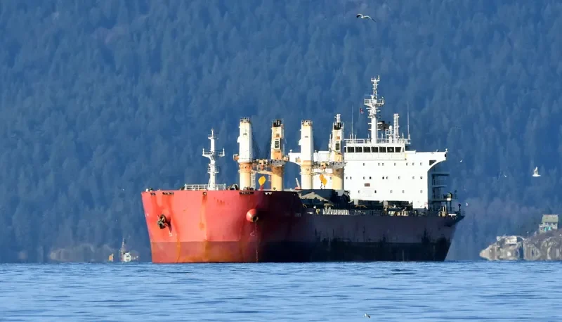 JU XI Bulk Carrier IMO 9567441 photo 5