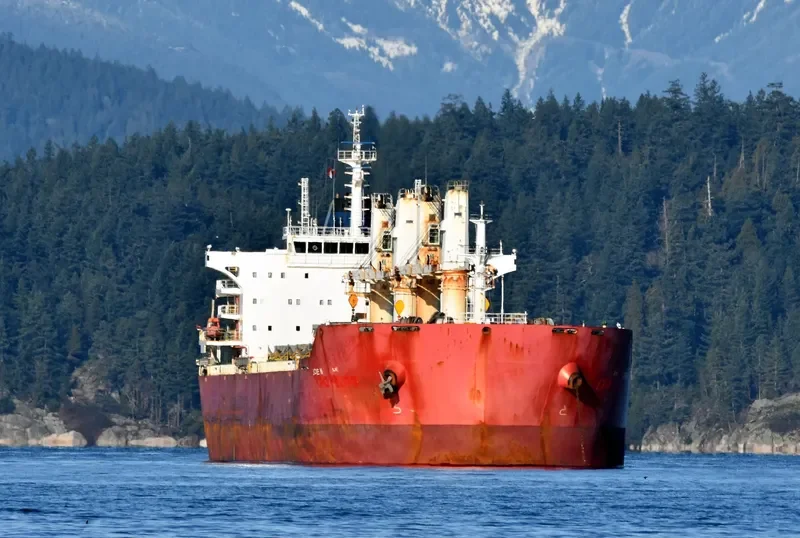 JU XI Bulk Carrier IMO 9567441 photo 6