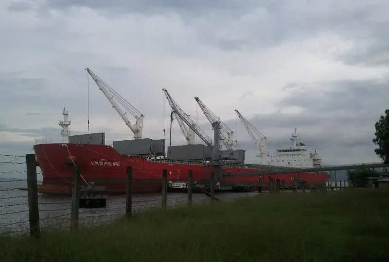 JU XI Bulk Carrier IMO 9567441 photo 9