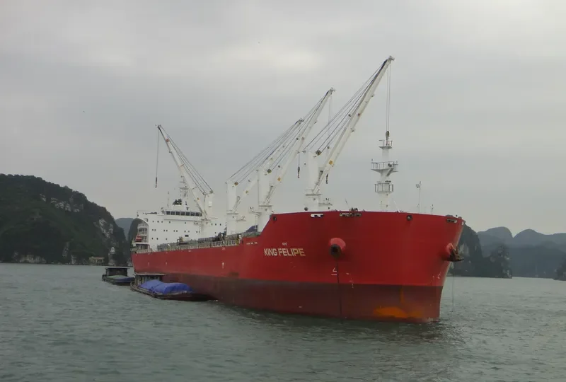 JU XI Bulk Carrier IMO 9567441 photo 10