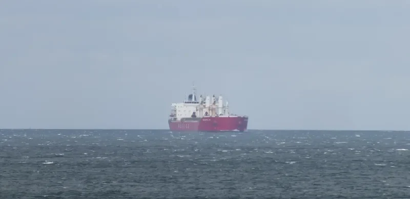 SERENITAS N Bulk Carrier IMO 9567453 photo 4