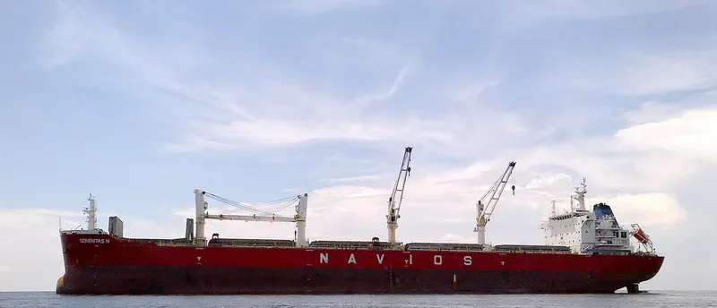 SERENITAS N Bulk Carrier IMO 9567453 photo 7