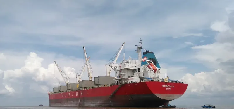 SERENITAS N Bulk Carrier IMO 9567453 photo 10