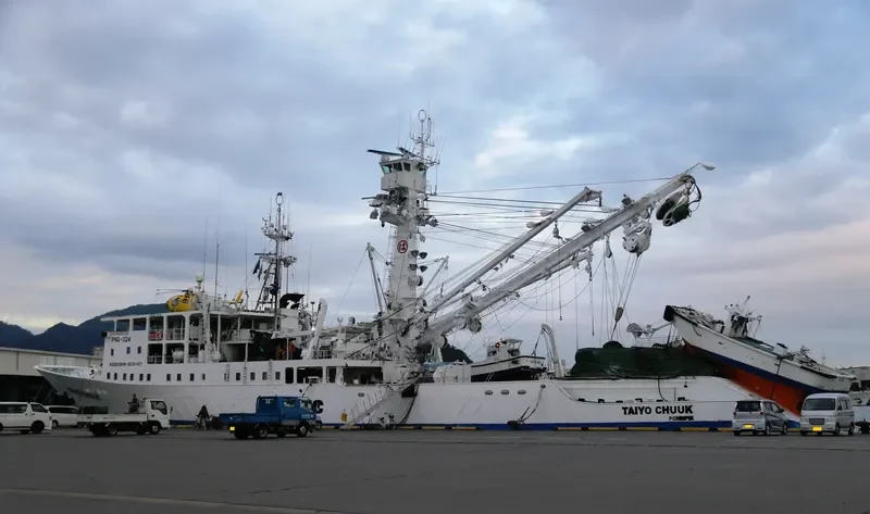 TAIYO CHUUK General Cargo IMO 9567465 photo 2