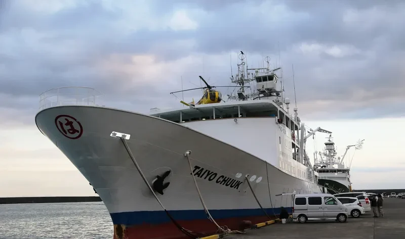 TAIYO CHUUK General Cargo IMO 9567465 photo 5