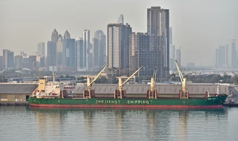 ZHE HAI 1 Bulk Carrier IMO 9567489 photo 6
