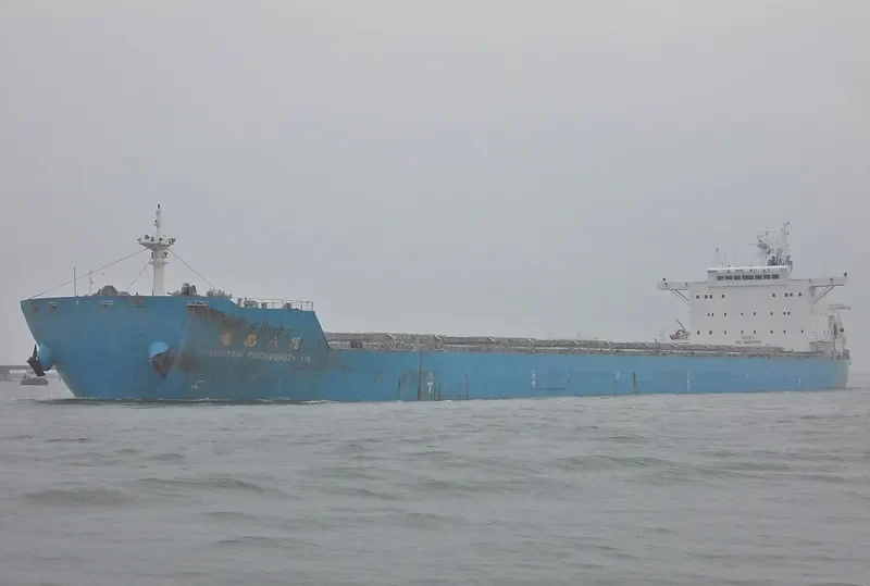 TAIPOWER PROSPERITY VIII Bulk Carrier IMO 9567623 photo 3