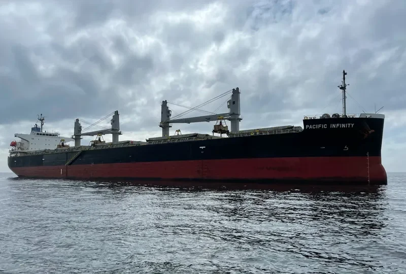 PACIFIC INFINITY Bulk Carrier IMO 9567738
