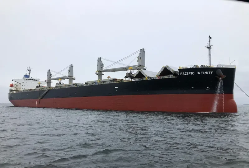 PACIFIC INFINITY Bulk Carrier IMO 9567738 photo 2