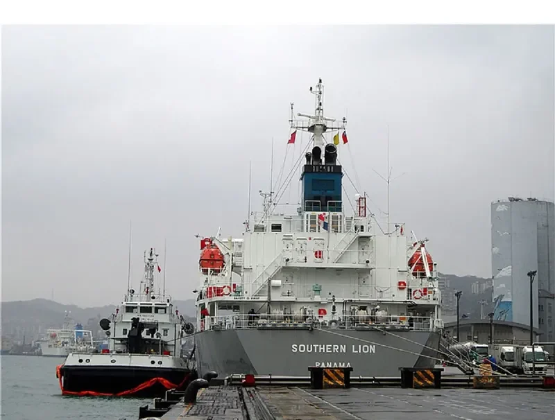 SOUTHERN LION Tanker IMO 9567752 photo 8