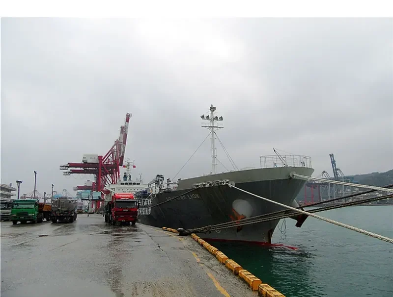 SOUTHERN LION Tanker IMO 9567752 photo 9