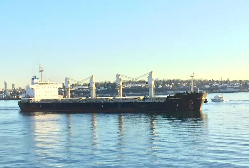 SERENE THEODORA Bulk Carrier IMO 9567946