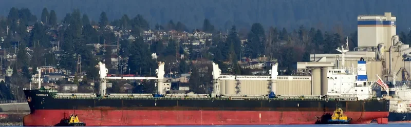 SERENE THEODORA Bulk Carrier IMO 9567946 photo 2