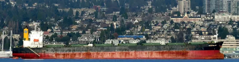 SERENE THEODORA Bulk Carrier IMO 9567946 photo 3
