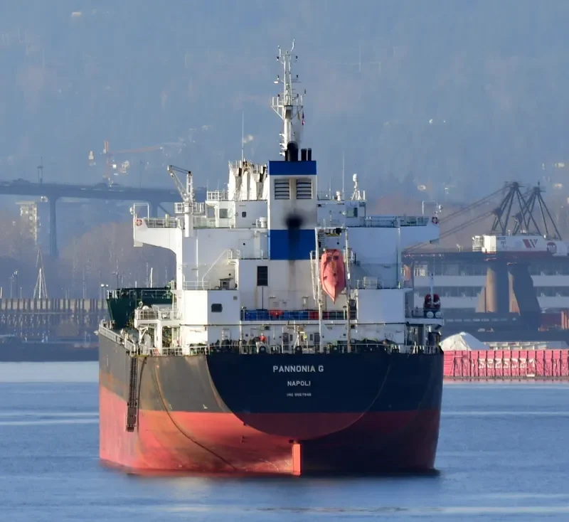 SERENE THEODORA Bulk Carrier IMO 9567946 photo 4