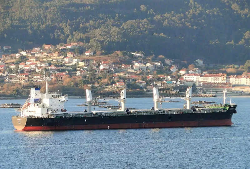 SERENE THEODORA Bulk Carrier IMO 9567946 photo 5