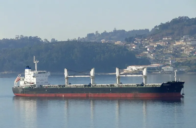 SERENE THEODORA Bulk Carrier IMO 9567946 photo 6