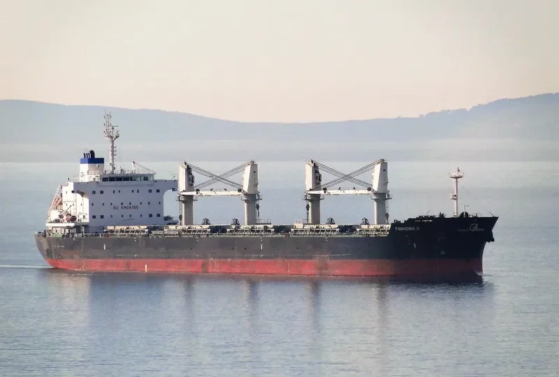 SERENE THEODORA Bulk Carrier IMO 9567946 photo 7