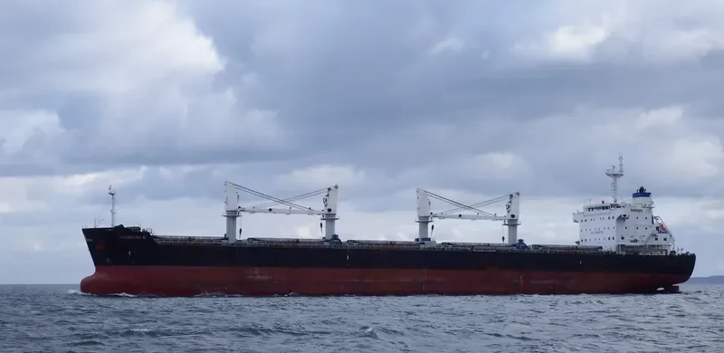 SERENE THEODORA Bulk Carrier IMO 9567946 photo 8