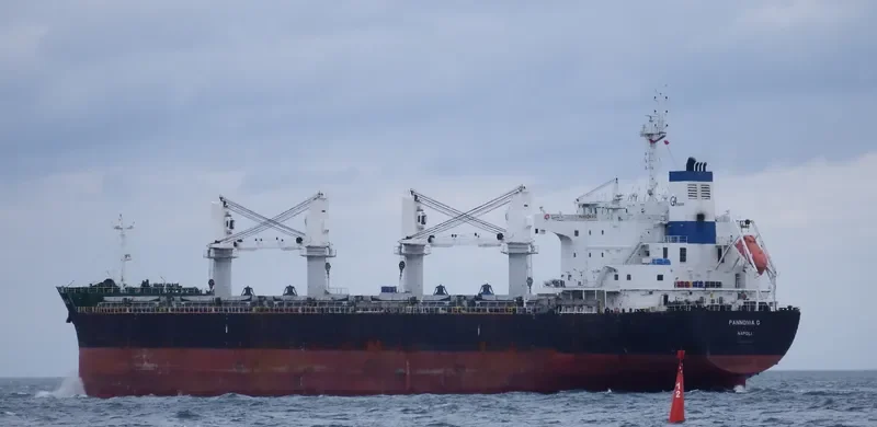 SERENE THEODORA Bulk Carrier IMO 9567946 photo 9