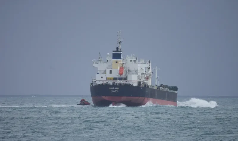 SERENE AMELIA Bulk Carrier IMO 9567958