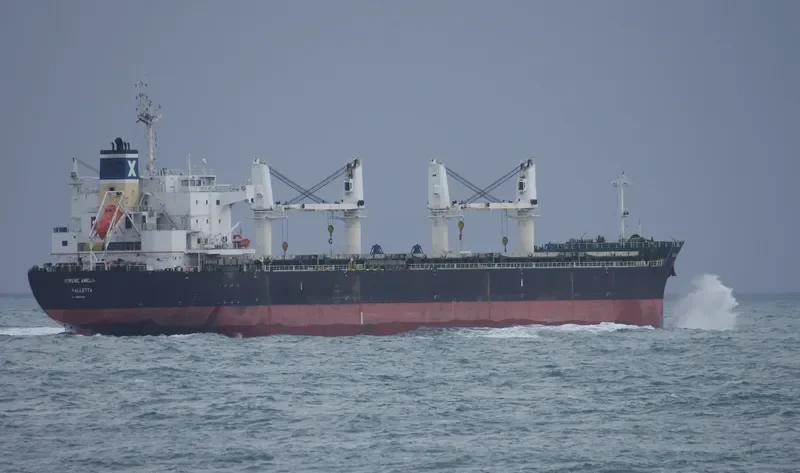 SERENE AMELIA Bulk Carrier IMO 9567958 photo 2