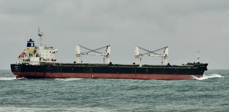 SERENE AMELIA Bulk Carrier IMO 9567958 photo 3