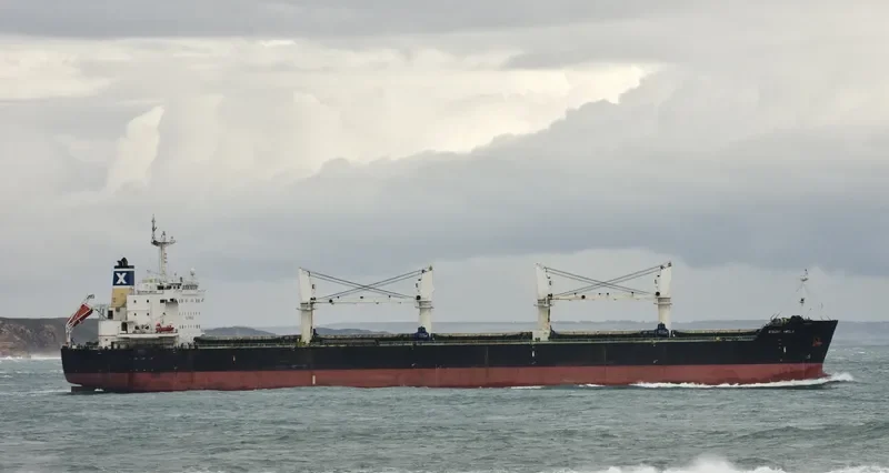 SERENE AMELIA Bulk Carrier IMO 9567958 photo 4