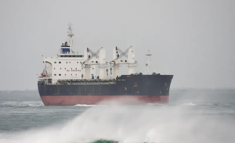 SERENE AMELIA Bulk Carrier IMO 9567958 photo 5