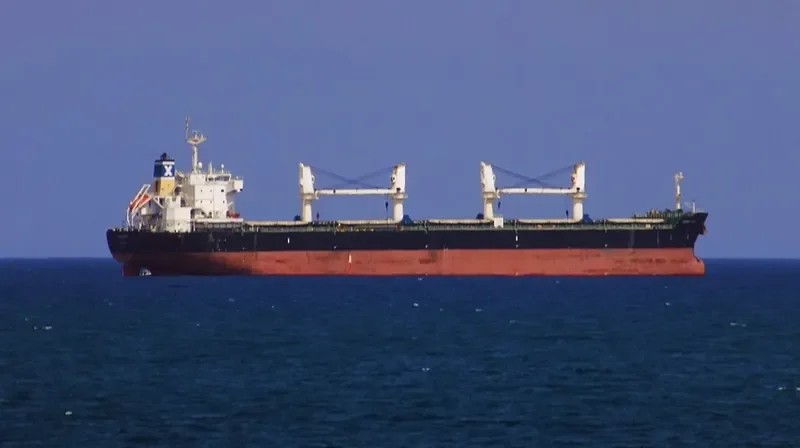 SERENE AMELIA Bulk Carrier IMO 9567958 photo 6