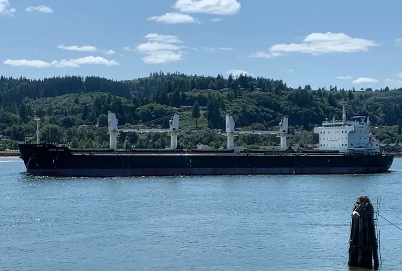 SERENE AMELIA Bulk Carrier IMO 9567958 photo 7