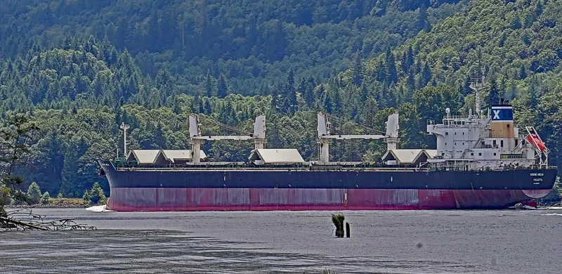 SERENE AMELIA Bulk Carrier IMO 9567958 photo 8
