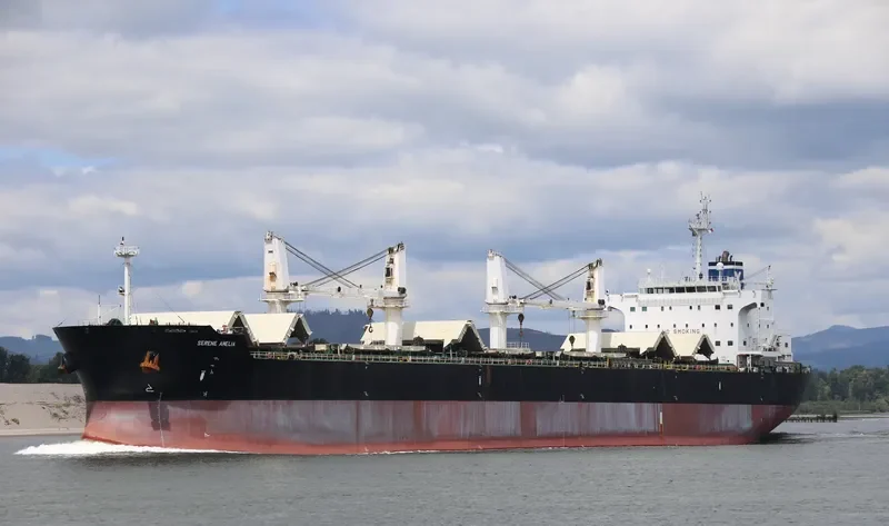 SERENE AMELIA Bulk Carrier IMO 9567958 photo 9