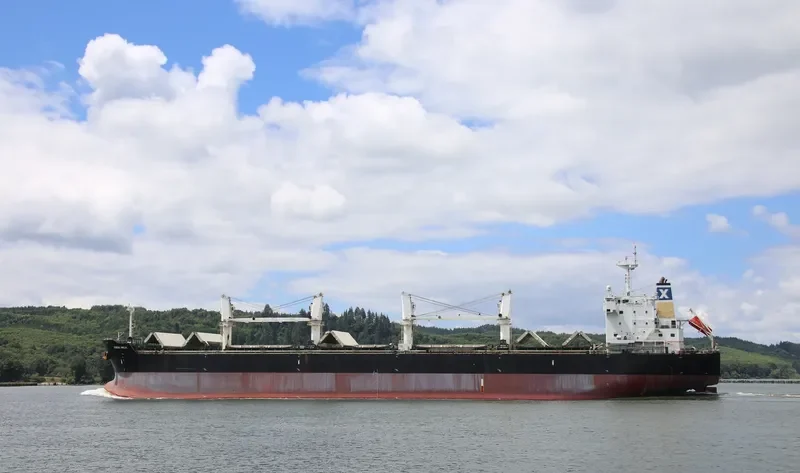 SERENE AMELIA Bulk Carrier IMO 9567958 photo 10