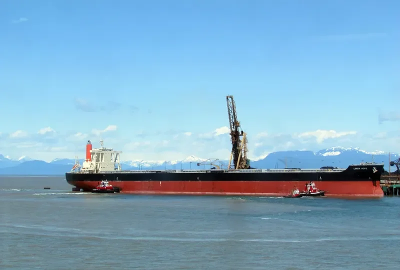 LINDA HOPE Bulk Carrier IMO 9567984 photo 3