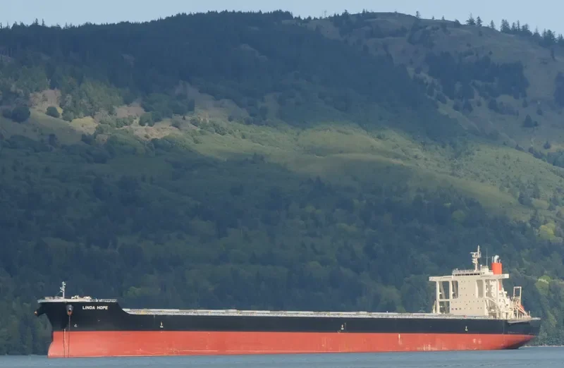 LINDA HOPE Bulk Carrier IMO 9567984 photo 6