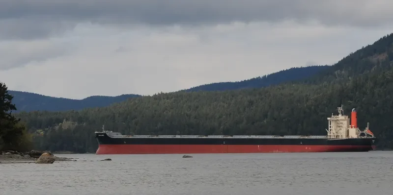 LINDA HOPE Bulk Carrier IMO 9567984 photo 7