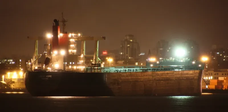 LINDA HOPE Bulk Carrier IMO 9567984 photo 8