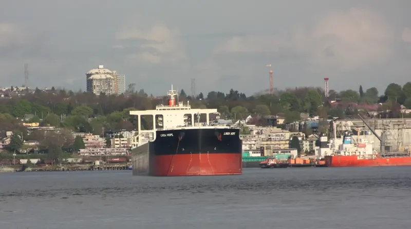 LINDA HOPE Bulk Carrier IMO 9567984 photo 10