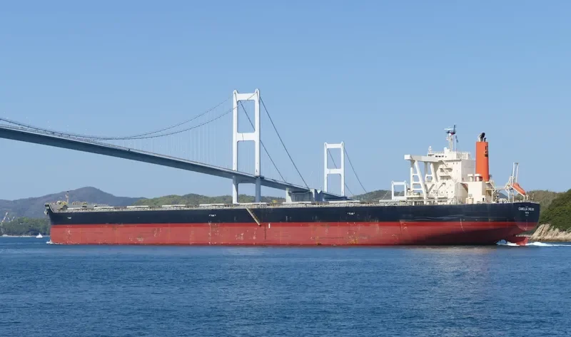 CAMELLIA DREAM Bulk Carrier IMO 9568017 photo 4