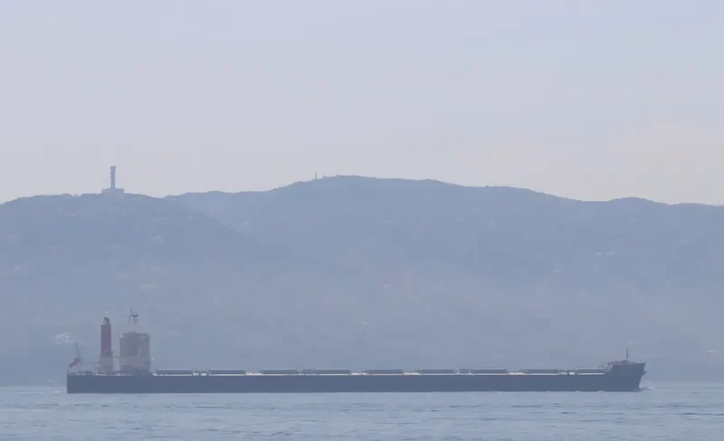 CAMELLIA DREAM Bulk Carrier IMO 9568017 photo 8