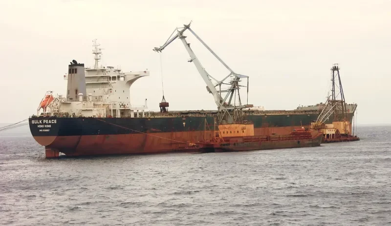 BULK PEACE Bulk Carrier IMO 9568067 photo 2